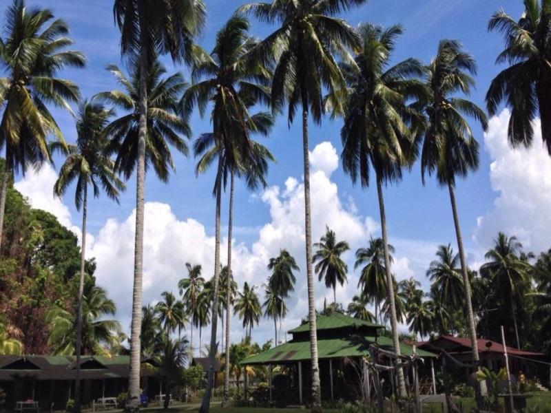 Fishing Bay Resort Mersing Dış mekan fotoğraf